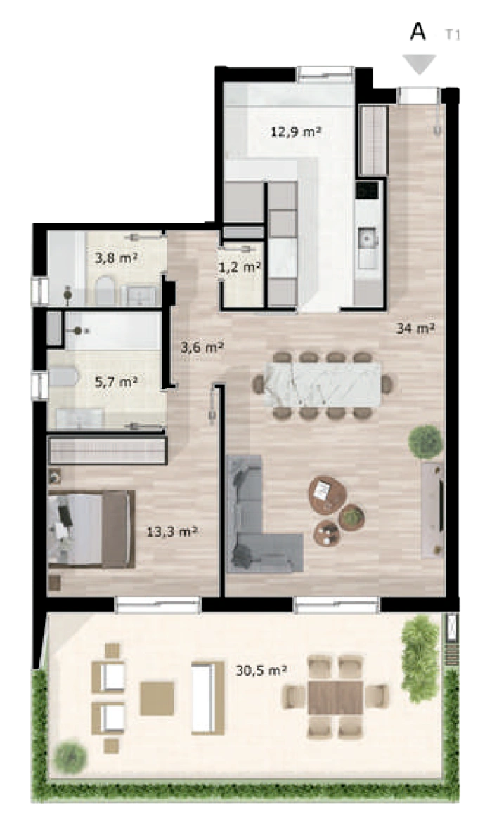 Planta T1
